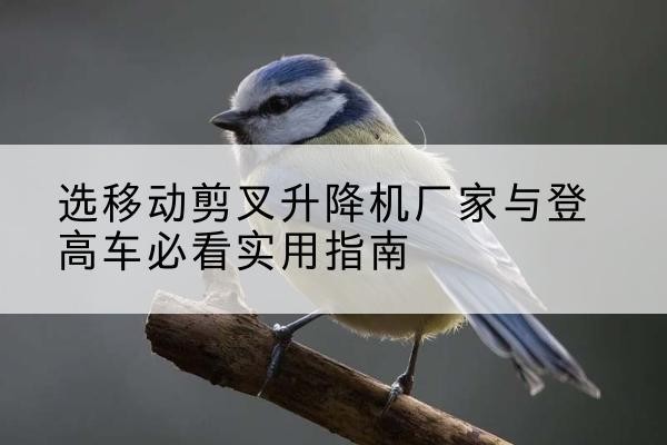 远安电动升降机厂家-选移动剪叉升降机厂家与登高车必看实用指南