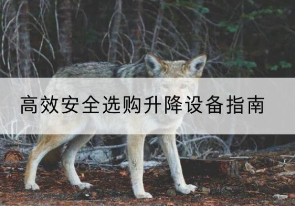 远安升降货梯厂家推荐-*安全选购升降设备指南