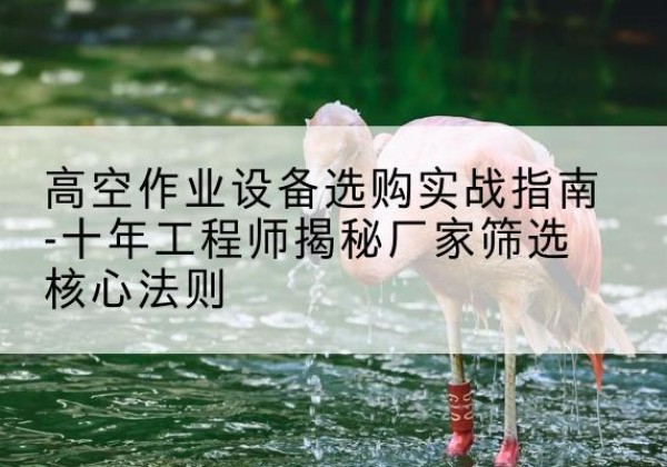 远安剪叉式升降机厂家-高空作业设备选购实战指南-十年工程师揭秘厂家筛选核心法则